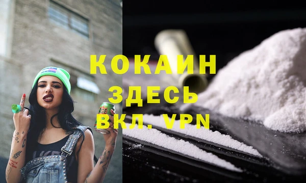 дурь Няндома