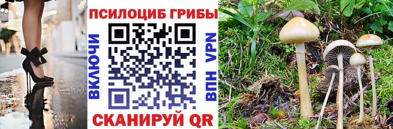 Псилоцибиновые грибы Magic Shrooms Инсар
