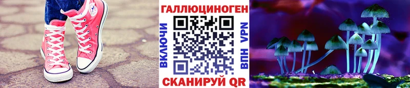 закладка  Инсар  Псилоцибиновые грибы Magic Shrooms 
